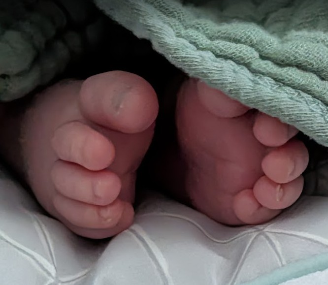 Baby Feet